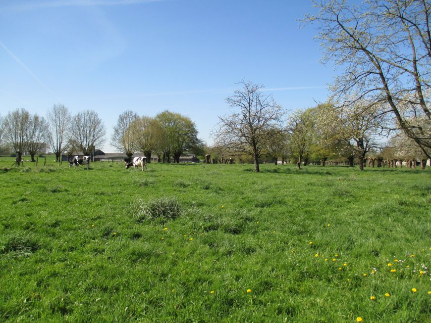 AXE ARRAS DOULLENS